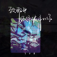 致那些终将破碎的你 - Single - 飞小鱼