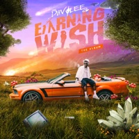 Earning Wish - Davolee
