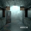 Asylum - Single