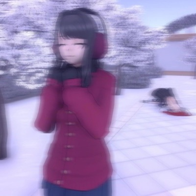 on the 12th day of christmas