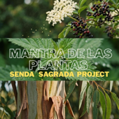 MANTRA DE LAS PLANTAS