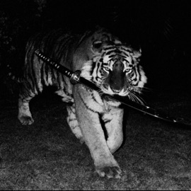 IF I WANT IT NIGHTSXRA