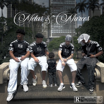 Metas & Marcos