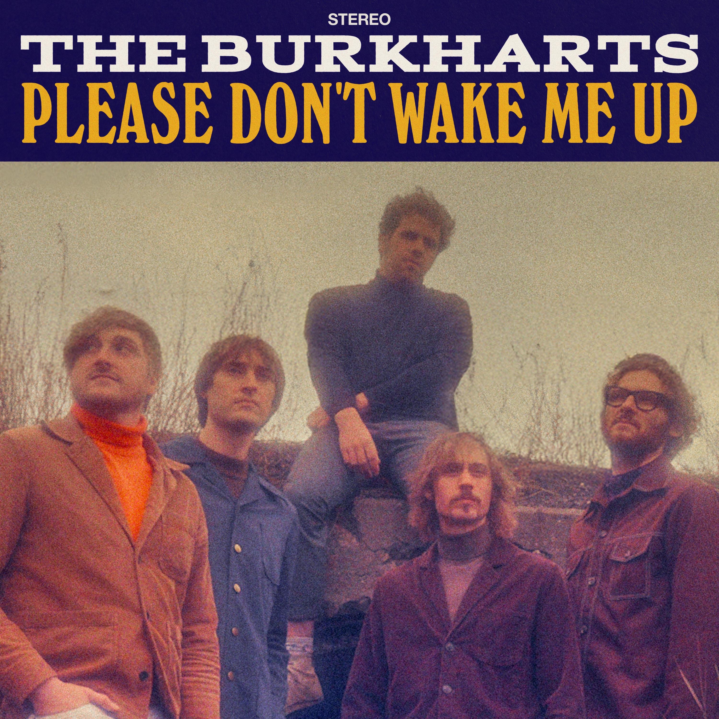 Please Don't Wake Me Up - Single