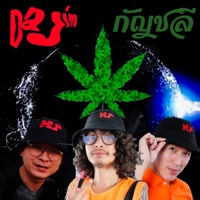 กัญชลี - Single - Dajim
