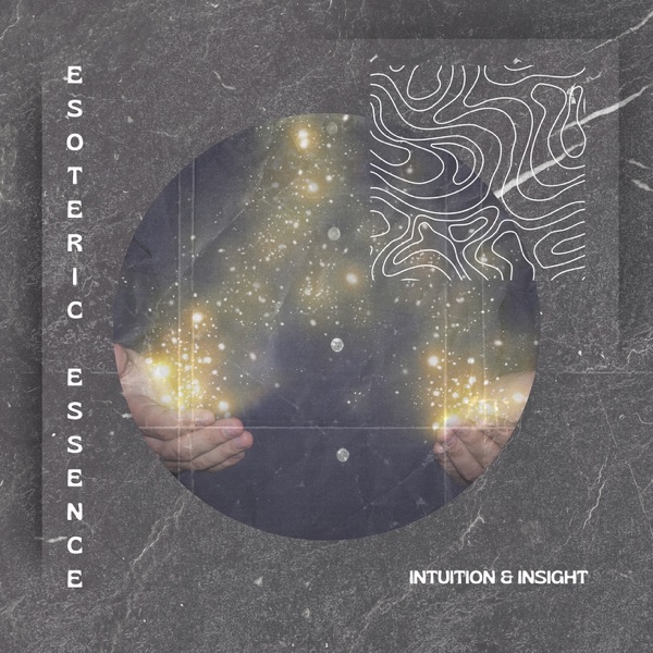 Intuition & Insight