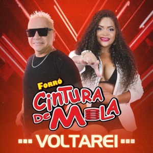 Melô do Lobisomem (feat. Forró 100 Preconceito)
