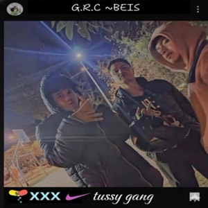 GRC-BEIS (feat. JonkyMonkey & ZINNER) - Single