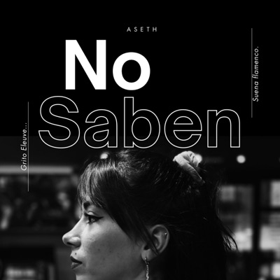 NO SABEN - Single