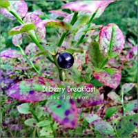 Bilberry Breakfast - Single - Lise Jonsson