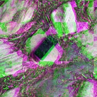 missed calls (feat. Freddie Evans & LiviCiabattery) - Single - GreenMusic