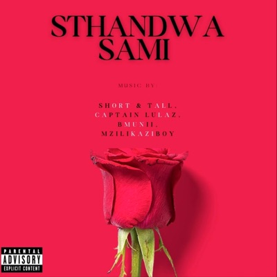 Sthandwa Sami - Single