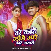 Tare Kate Udise Upare Kate Makhri - Single - Prasadi Premi Yadav