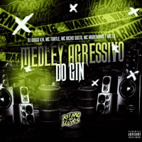 Medley Agressivo do Gin (feat. DJ Diogo V.N & Mc Moreninho) - Single - MC Lil, MC TURTLE & MC Bicho Solto