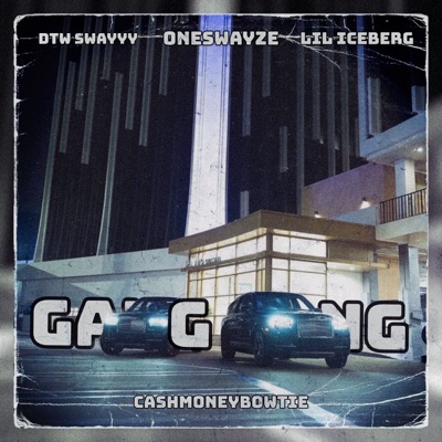 Gang Gang (feat. DTW Swayyy, One Swayze & Lil Iceberg) - Single