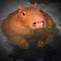 Pullin' up! (feat. TSS) - Single - Dumb Girl