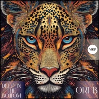 Deep in the Bottom - Single - Ori B.