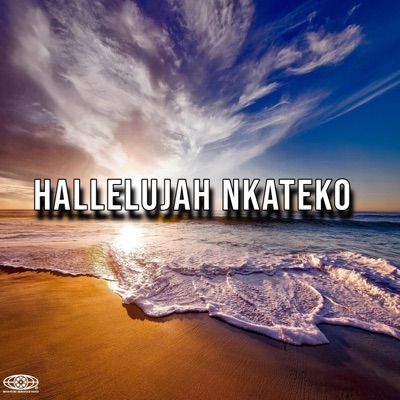 Hallelujah Nkateko (Radio Edit) - Single