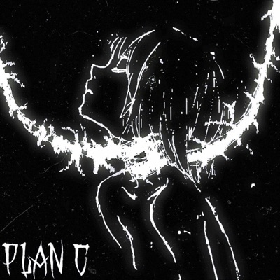 Song - PLAN C "slowed" - S3KR3TWXV3