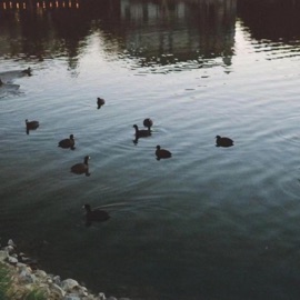 Pride (feat. Ronnie G) Food Product