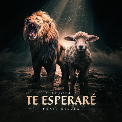 Te Esperaré (feat. Nillex) - Single