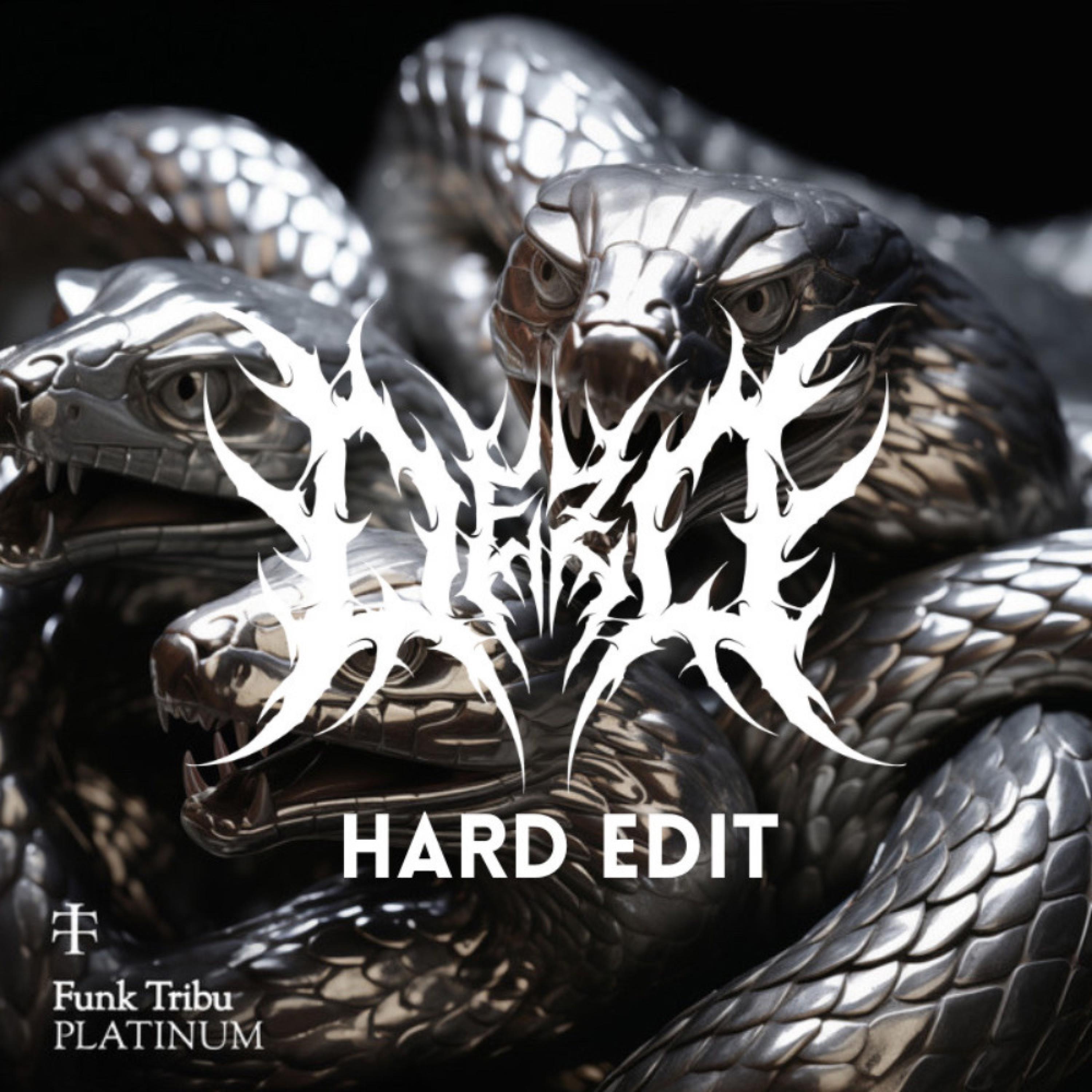 Platinum (DEZO HARD FLIP) - Single