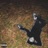 Burden (feat. WhyYZ & Iamgreedy)