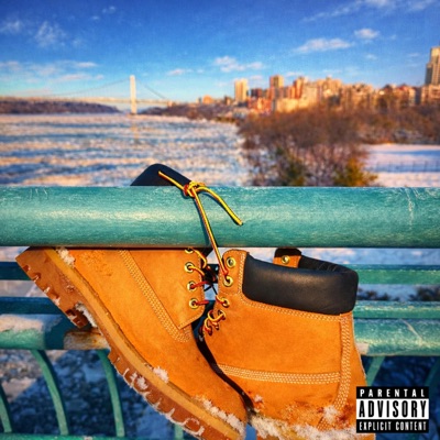 NUOVE TIMBERLAND - Single