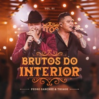 Brutos do Interior, Vol. 1 (Ao Vivo) - Single - Pedro Sanchez e Thiago