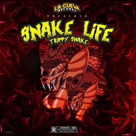Shorty21 Trippy Snake