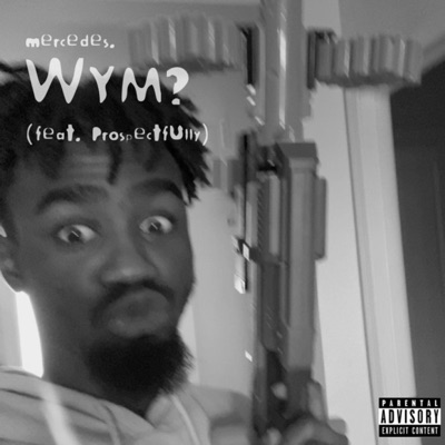 WYM? (feat. Prospectfully) - Single