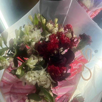 Playwright (feat. 4Reign) - Single