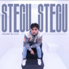 Stecu Stecu (feat. Wyafrizal & DJ Likin Breat) - DJ Komang Rimex