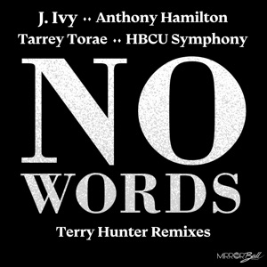 No Words (feat. Tarrey Torae & HBCU Symphony) [Terry Hunter Radio Edit]