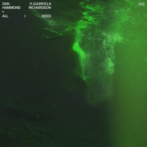 All I Need (feat. Gabriela Richardson) [Sped up Version]