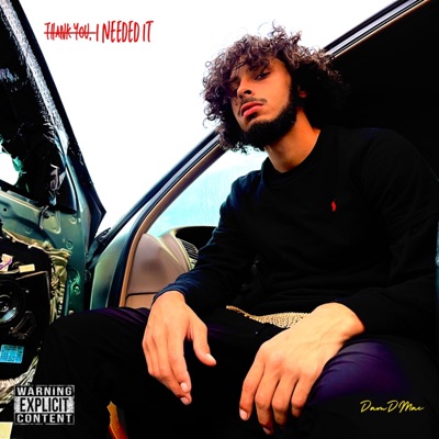 Thank you, I needed it - Single
