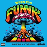 When it's funk (feat. STEVE ROLLN) - Single - Big Skunk