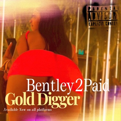 Gold Digger - Single
