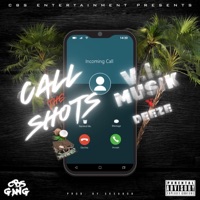 Call the Shots (feat. Deeze) - Single - V.I. Musik