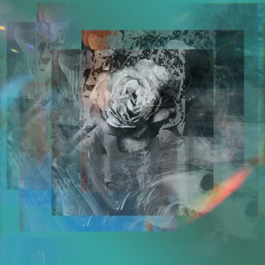 Waltz for Dubby Lp Sampler Pt. 3 - Water - Single