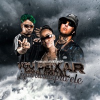 Vou Deixar Minha Digital Joga a Bunda pra Ele - Single - Mc Larissa & MC RESTRITO ORIGINAL