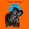 Darling (Extended Mix) - Shimza & Aloe Blacc