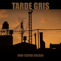 Tarde Gris - Single - Bahiano