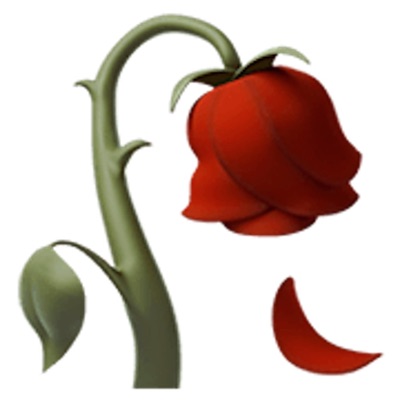 rosier - Single