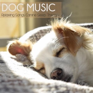 Dog Music: Relaxing Songs for Canine Sleep Therapy