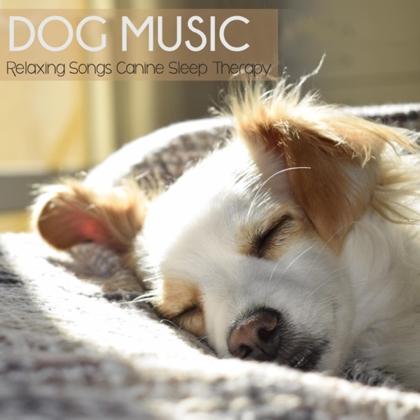 Dog Music: Relaxing Songs for Canine Sleep Therapy