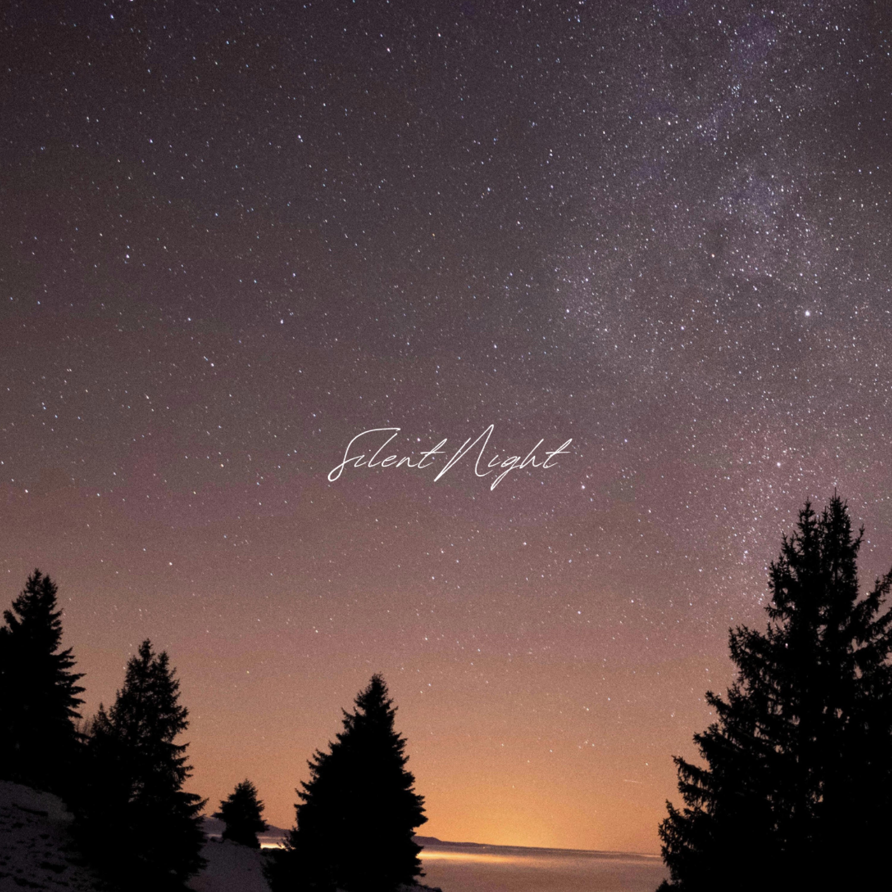 Silent Night (feat. melo) - Single