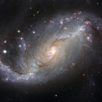 Launch - Single - Tryptamind