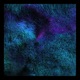 Freedom Ep Single
