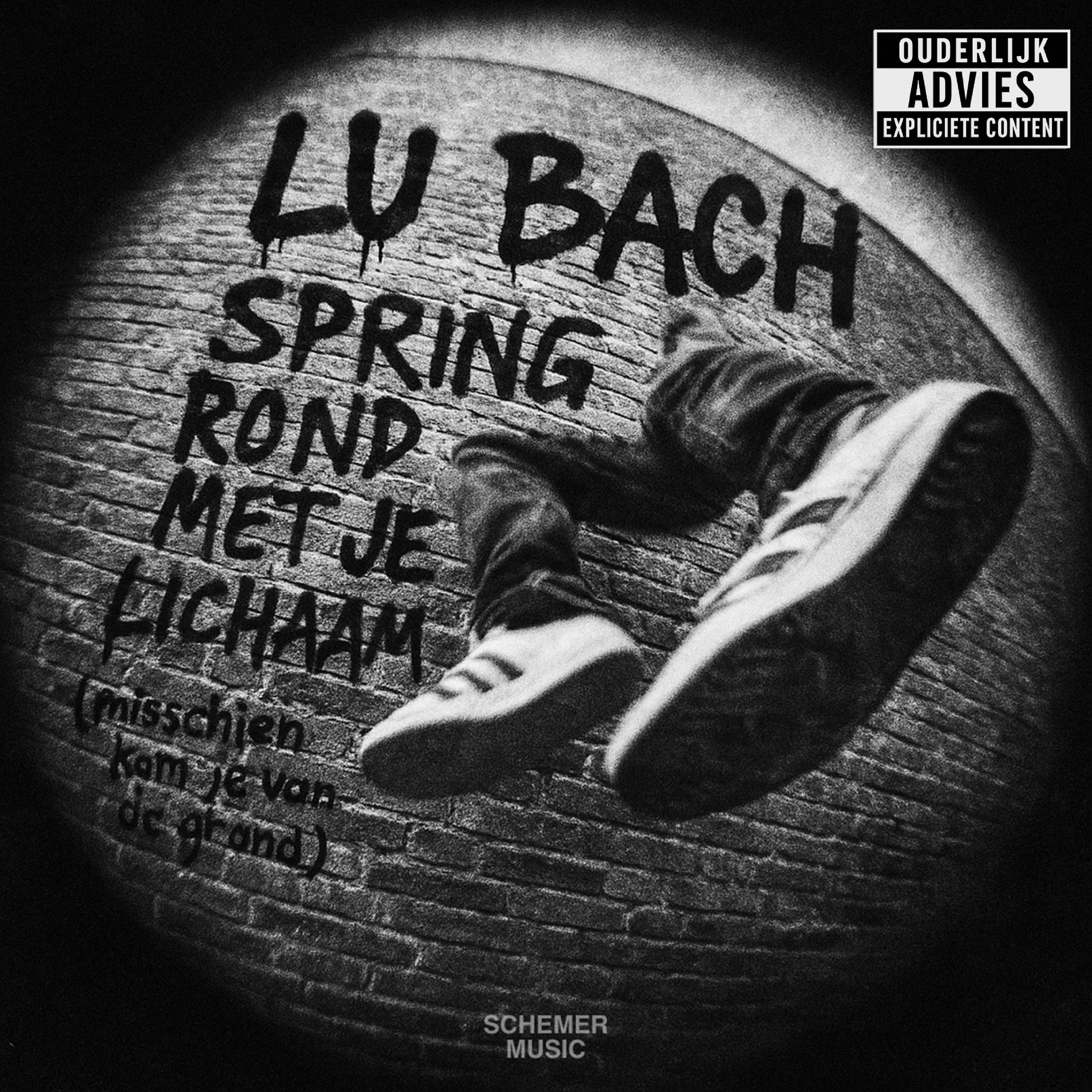 Spring Rond Met Je Lichaam (misschien kom je van de grond) - Single
